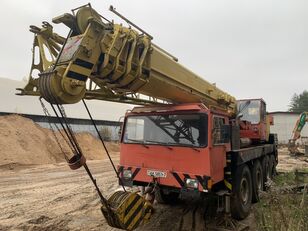 LIEBHERR LTM 1070 autoceltnis